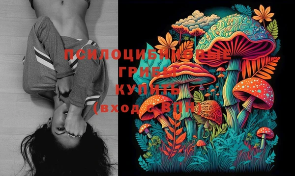 MESCALINE Алзамай